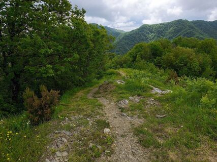 Fotografija s spletne strani Stefano Fabi na poti