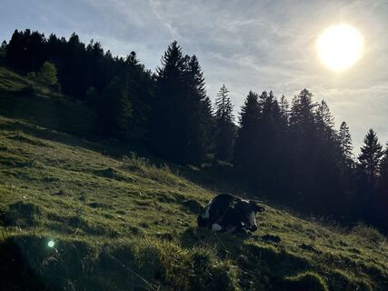 Fotografija s spletne strani Dirk Parbel na poti