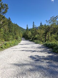 Fotografija s spletne strani Miha Gros na poti