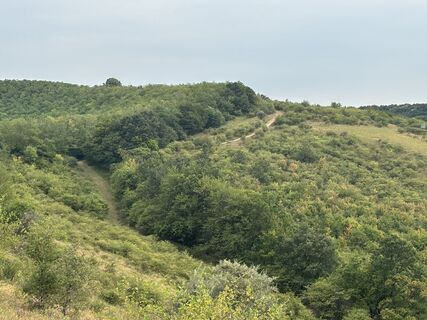 Fotografija s spletne strani Várhelyi Alicia na poti