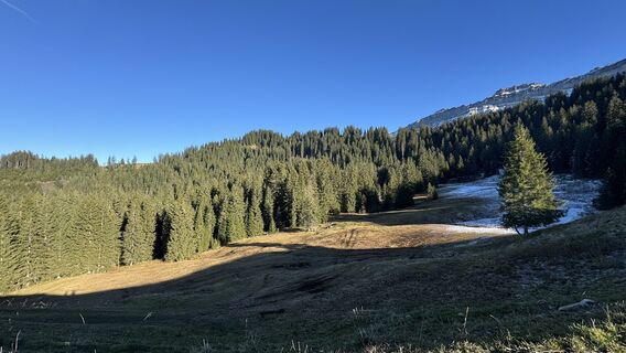 Zdjęcie z peter_oe wzdłuż trasy