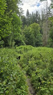 Foto fra Astrid L. underveis på turen