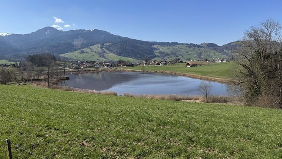 Фото с сайта peter_oe во время экскурсии