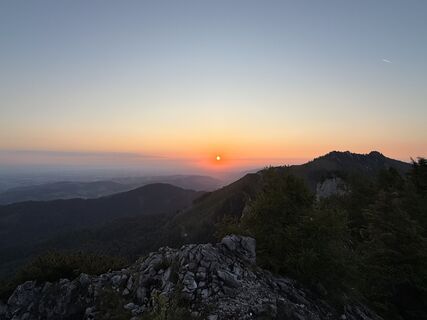 Fotografija s spletne strani Natur_erleben_dg na poti