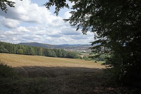 Blick auf Feld und Flur