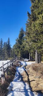 Fotografia z Diana Croitoru na trase