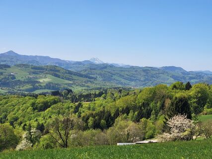Fotografija s spletne strani BergfexxMaxx na poti