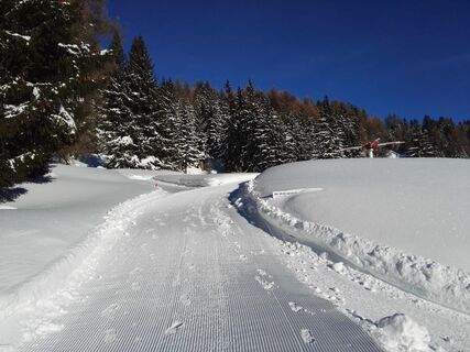 Entlang dem Globi Wanderweg im Winter