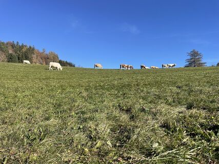 Fotografia z Andreas Felber na trase