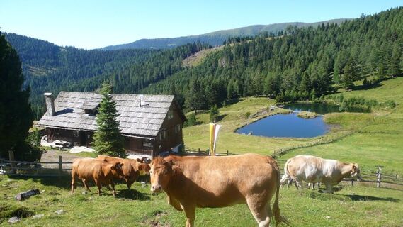 Lamprechthütte (bewirtschaftet) Biosphärenpark Nockberge