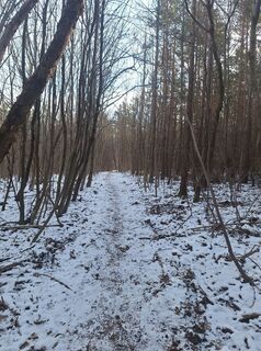 Photo de Johannes Plank le long du parcours