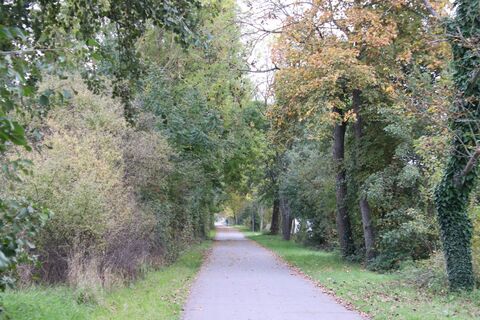 Photo from Günter Kleutsch along the tour