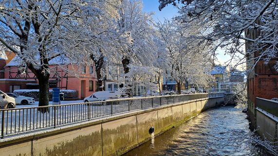 Zdjęcie z Friedrich Rebenstorf wzdłuż trasy