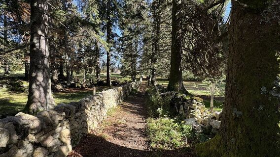 Kuva osoitteesta peter_oe matkan varrella