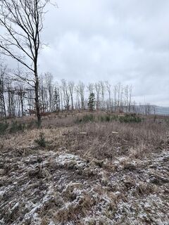 Foto von Justin Besting entlang der Tour