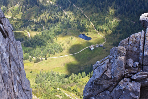 Steinkaralm