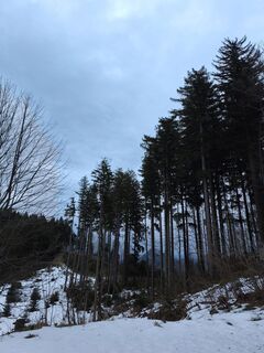 Foto von Nicki Lehner entlang der Tour