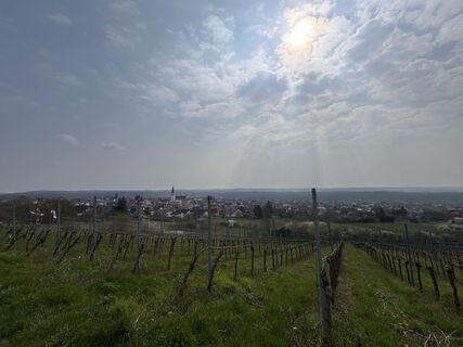 Foto von Tyx De entlang der Tour
