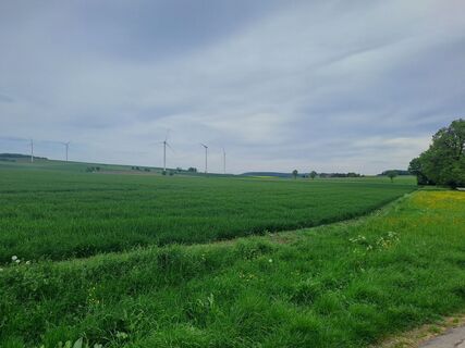 Photo de Wanderbursche66 le long du parcours