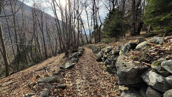 Photo de peter_oe le long du parcours