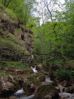 Foto de Aner a lo largo del recorrido