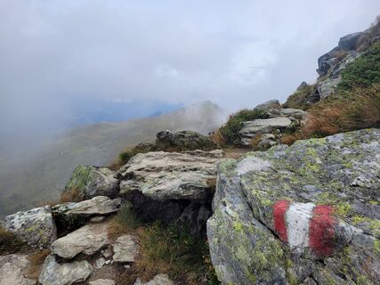 Fotografia z schenkeli na trase