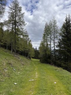 Foto da Aleksandr Klassen lungo il tour