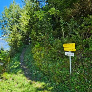 Abzweigung vom Wanderweg zum Pionierweg im Mühlbachtal