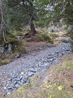 Fotografia z Maurer Silvia na trase