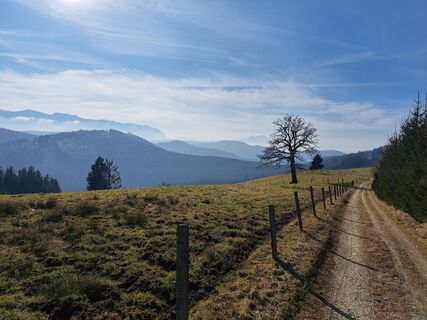 Fotografia z Rudi na trase