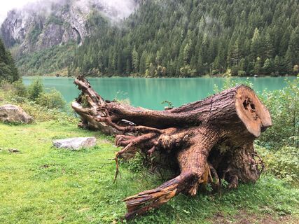 Foto från Ralf Umminger under resans gång