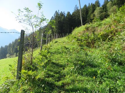 Mörtschach - Wangenitztal - Wangenitzsee/Hütte