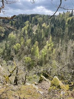 Foto von Andreas Mühlig entlang der Tour