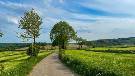 20220512_Jagdhornweg_Valbert (4).jpeg