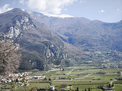 Foto de Schmidi a lo largo del recorrido