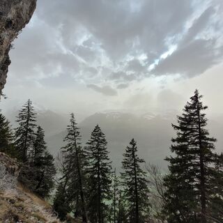 Trail- Route: Hinterspina Palfries