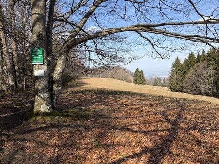 Fotografija s spletne strani RoKo Activity - Guide na poti