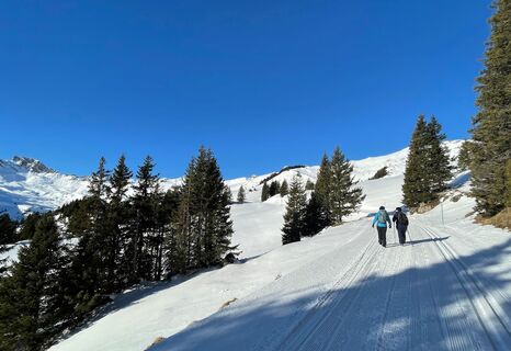 Winterwanderweg Prodalp-Panüöl