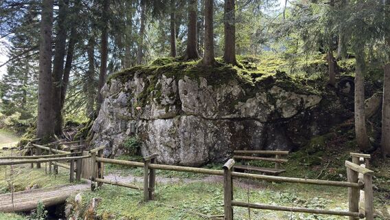 Fotografie de la Horst-Dieter Lutz de-a lungul turului