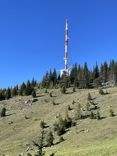 Foto da neumeier lungo il tour