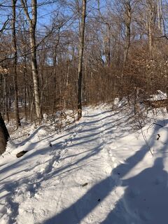 Fotografia z Levente Szádeczky na trase