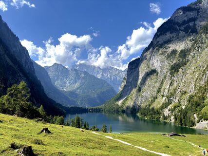 Photo de Yojo le long du parcours