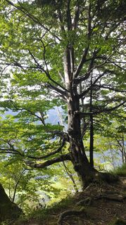 Foto von Elke Fellner entlang der Tour