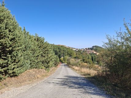 Foto de Helmut Brandt a lo largo del recorrido