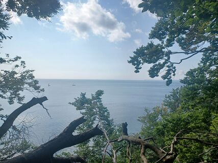 Foto de Claudi G a lo largo del recorrido