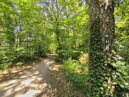Wanderwege im Hövelhofer Forst