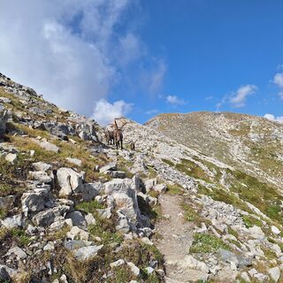 Fotografija s spletne strani Gianfranco zupancich na poti