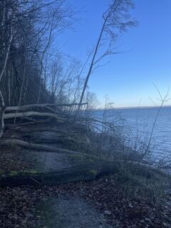 Foto von Nicole P entlang der Tour