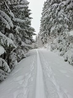Photo de Magnus Moser le long du parcours