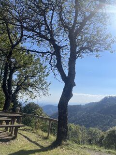 Fotografia z firebird 93 na trase